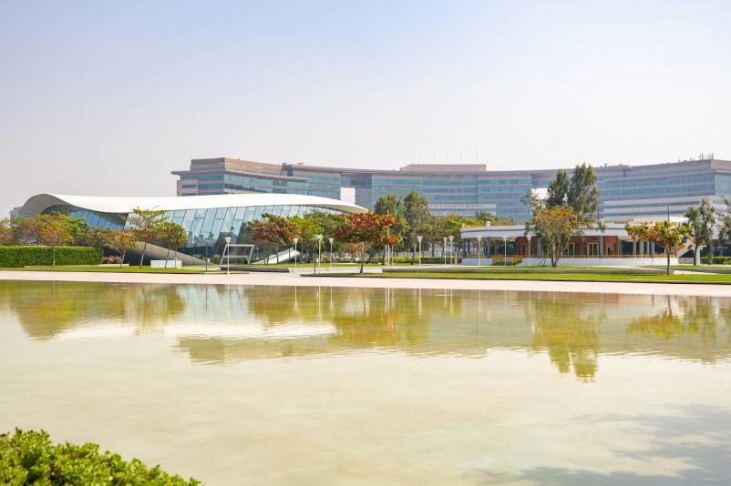 The Outside Area